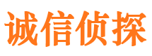 市南私家侦探